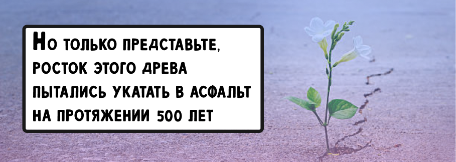 История хангыля — иллюстрация